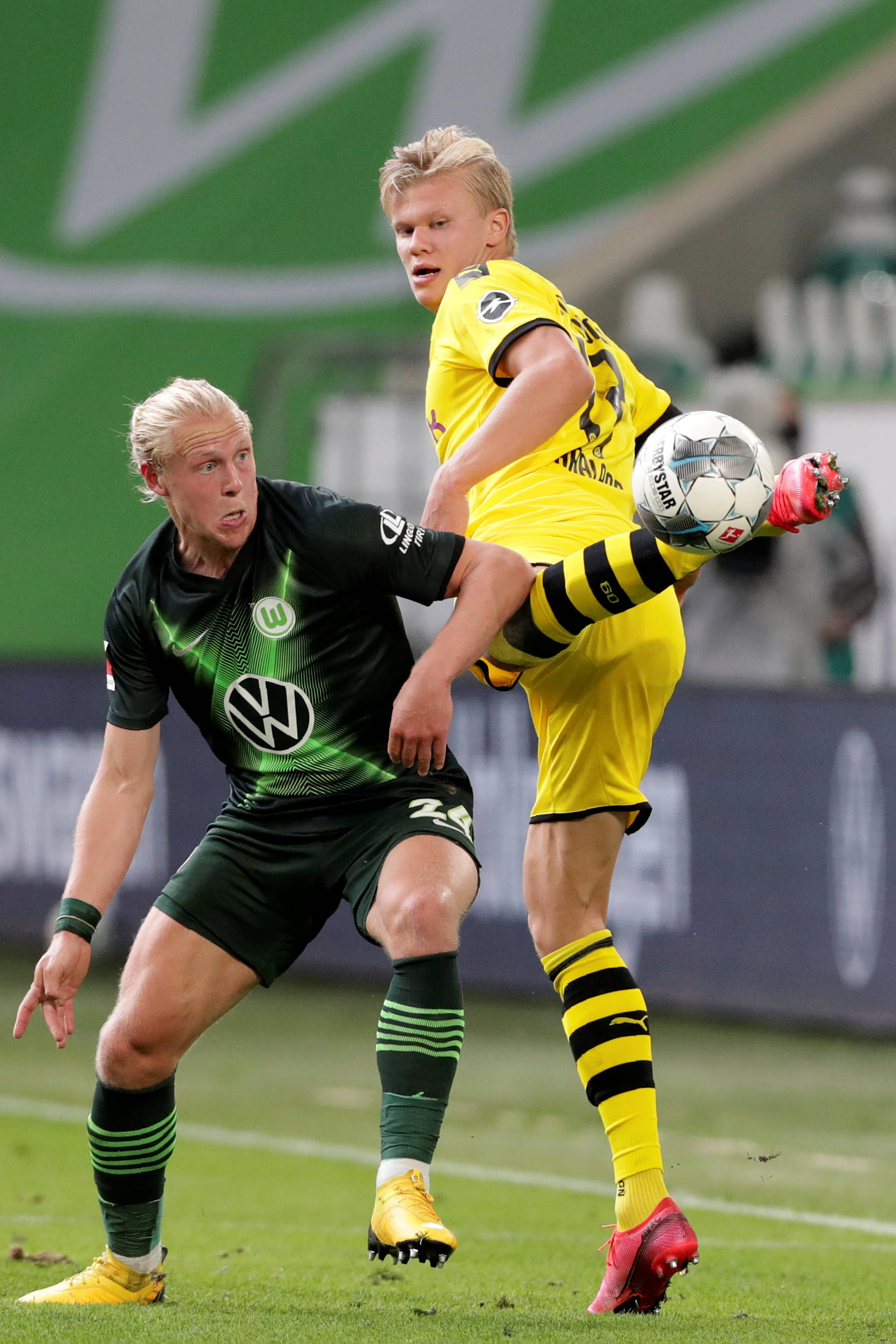 年华也成为 年华也成为